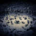 Asteroid
