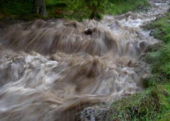 Flood