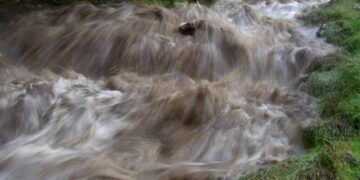 Flood
