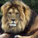 Zookeeper