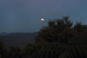 Lunar